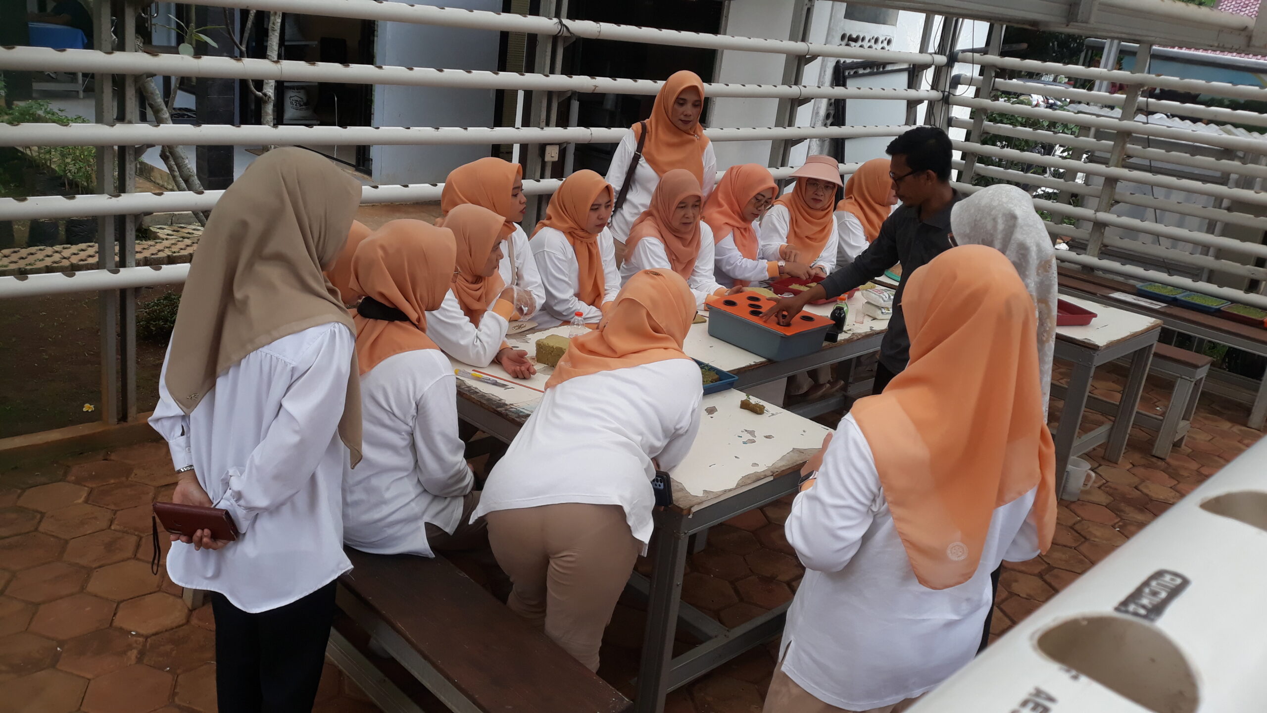 Urbang Farming DKP dengan Dharma Wanita Persatuan Kabupaten Bogor dalam Rangka Hari R.A Kartini